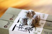 润元昌2015年一杯春手工沱茶普洱生茶