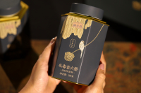 头春六堡茶-IMG_2760