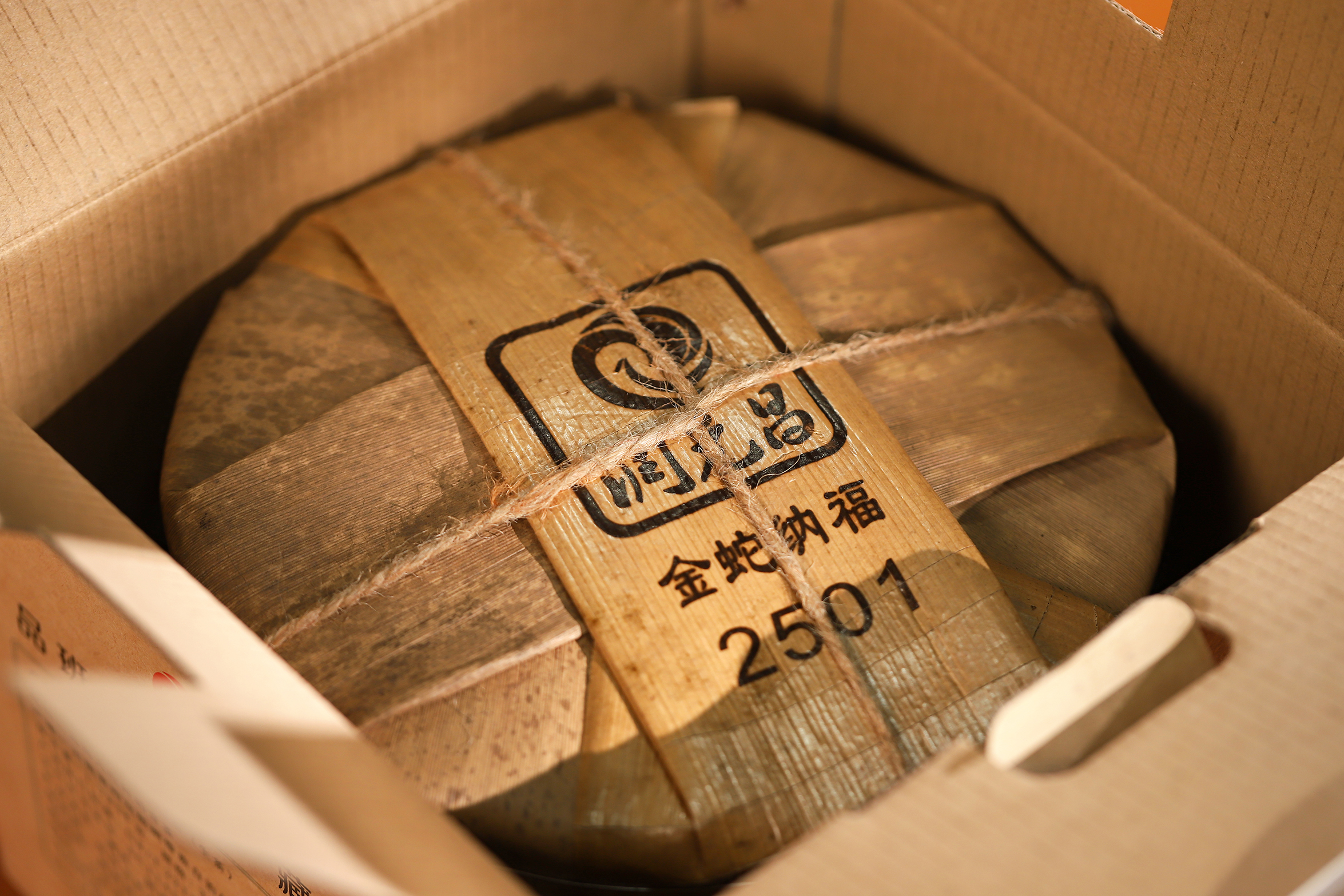 2025金蛇纳福-IMG_5109