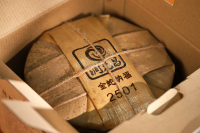 2025金蛇纳福-IMG_5109