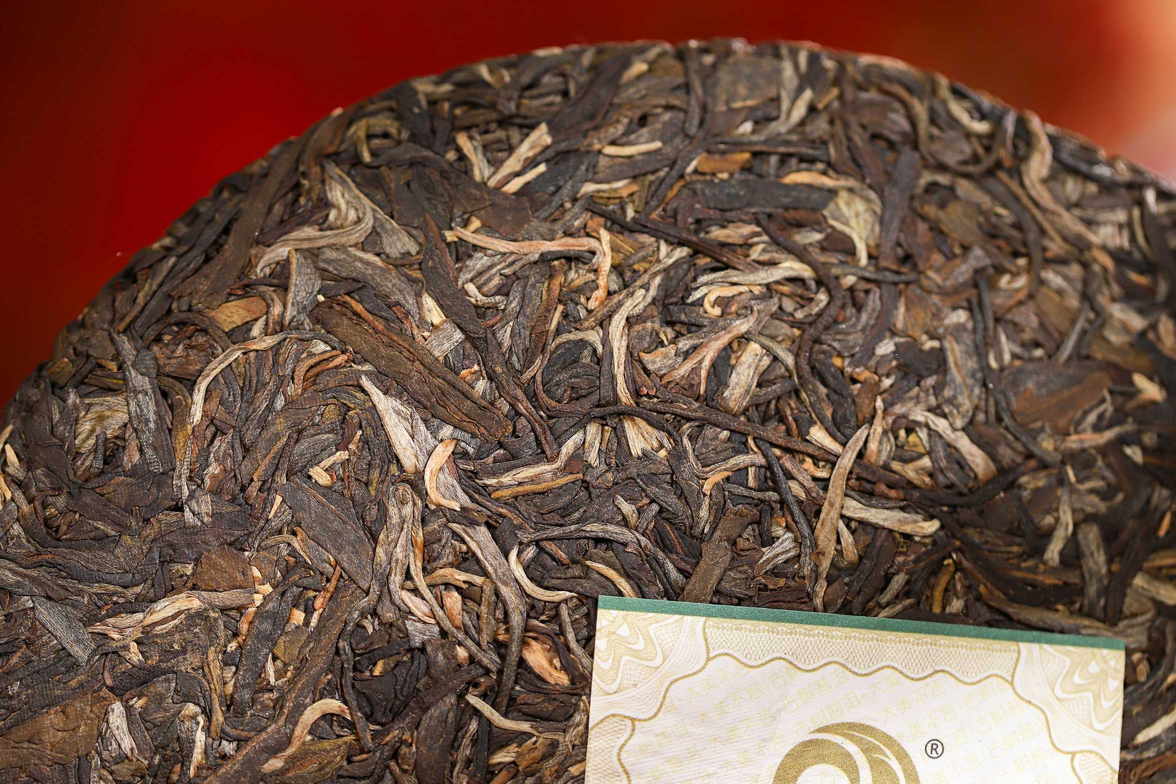 2025金蛇纳福-IMG_5130