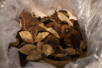 代代相传-5斤装-IMG_6008