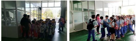 蜜蜂研学-蜜蜂2