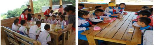 蜜蜂研学-蜜蜂4