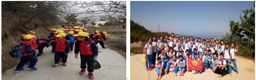 蜜蜂研学-蜜蜂8