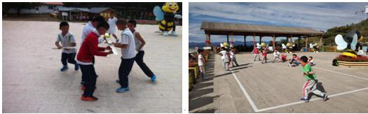 蜜蜂研学-蜜蜂9