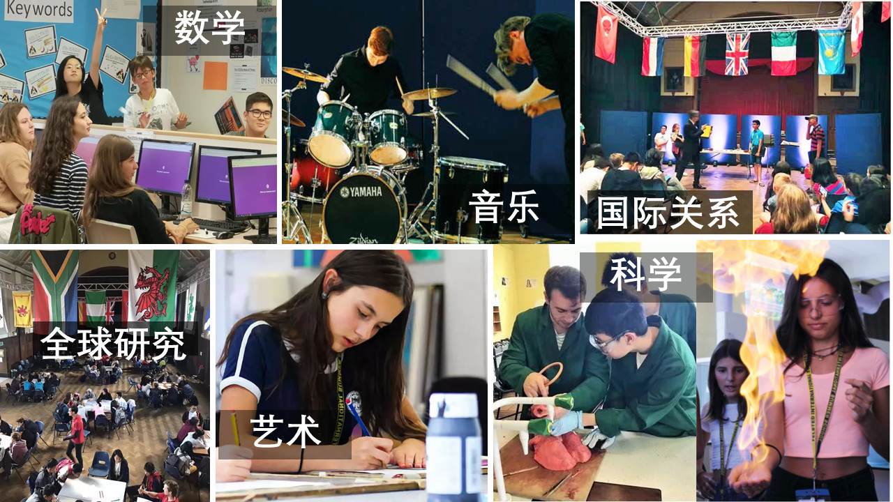 贵族5
