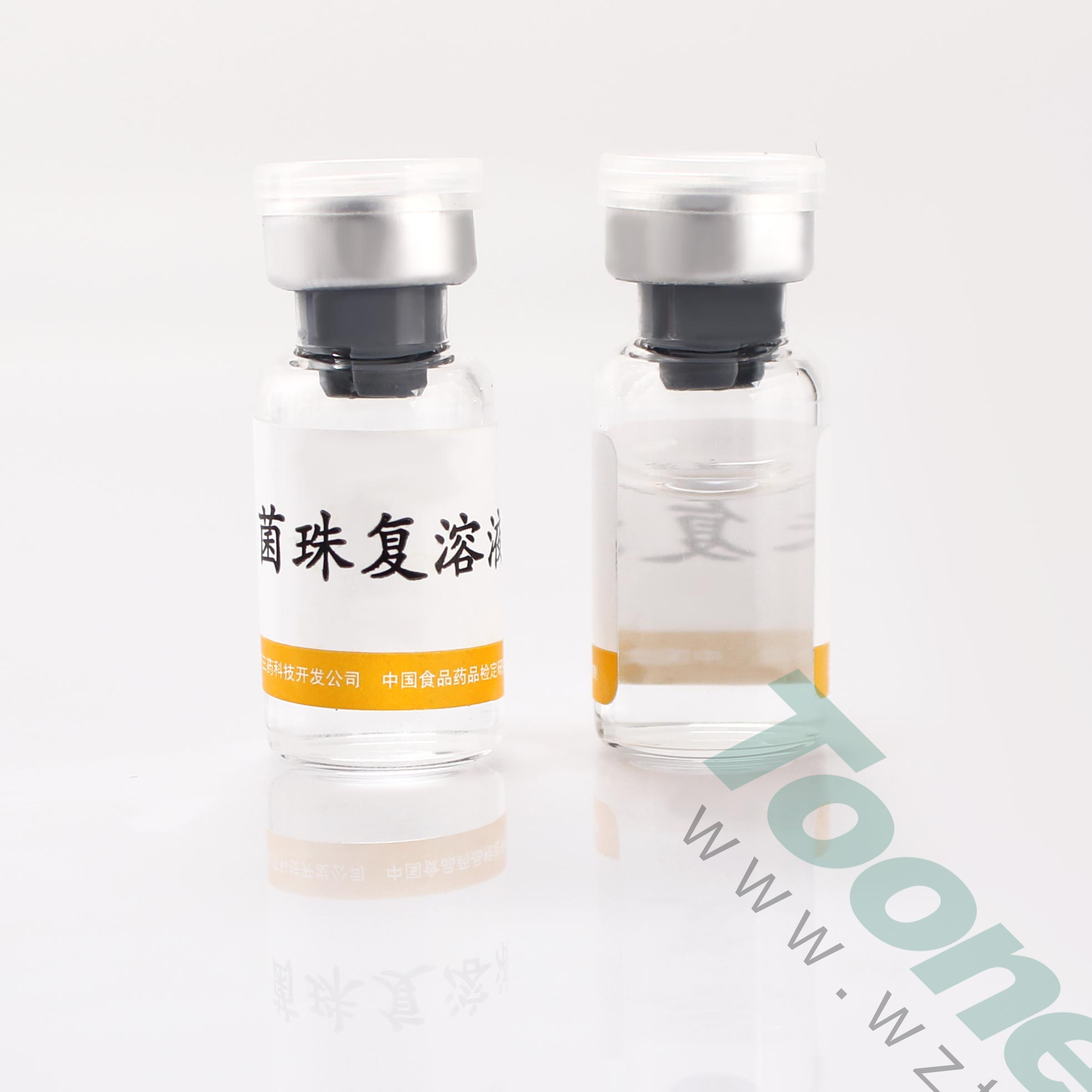 菌株-3