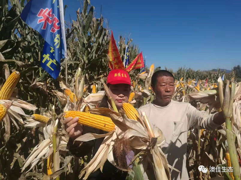 微信图片_20200216192305