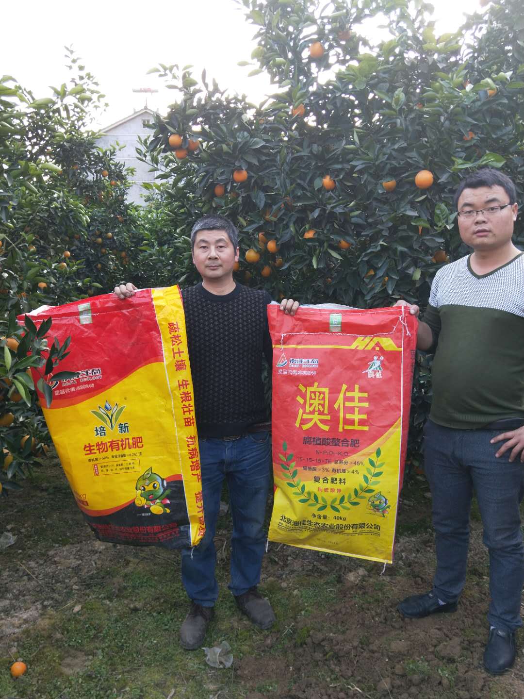 微信图片_20180117161402