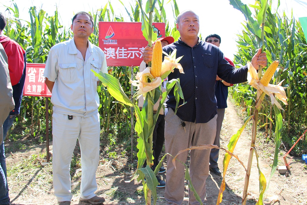 2015年9月12日吉林扶余县弓棚镇