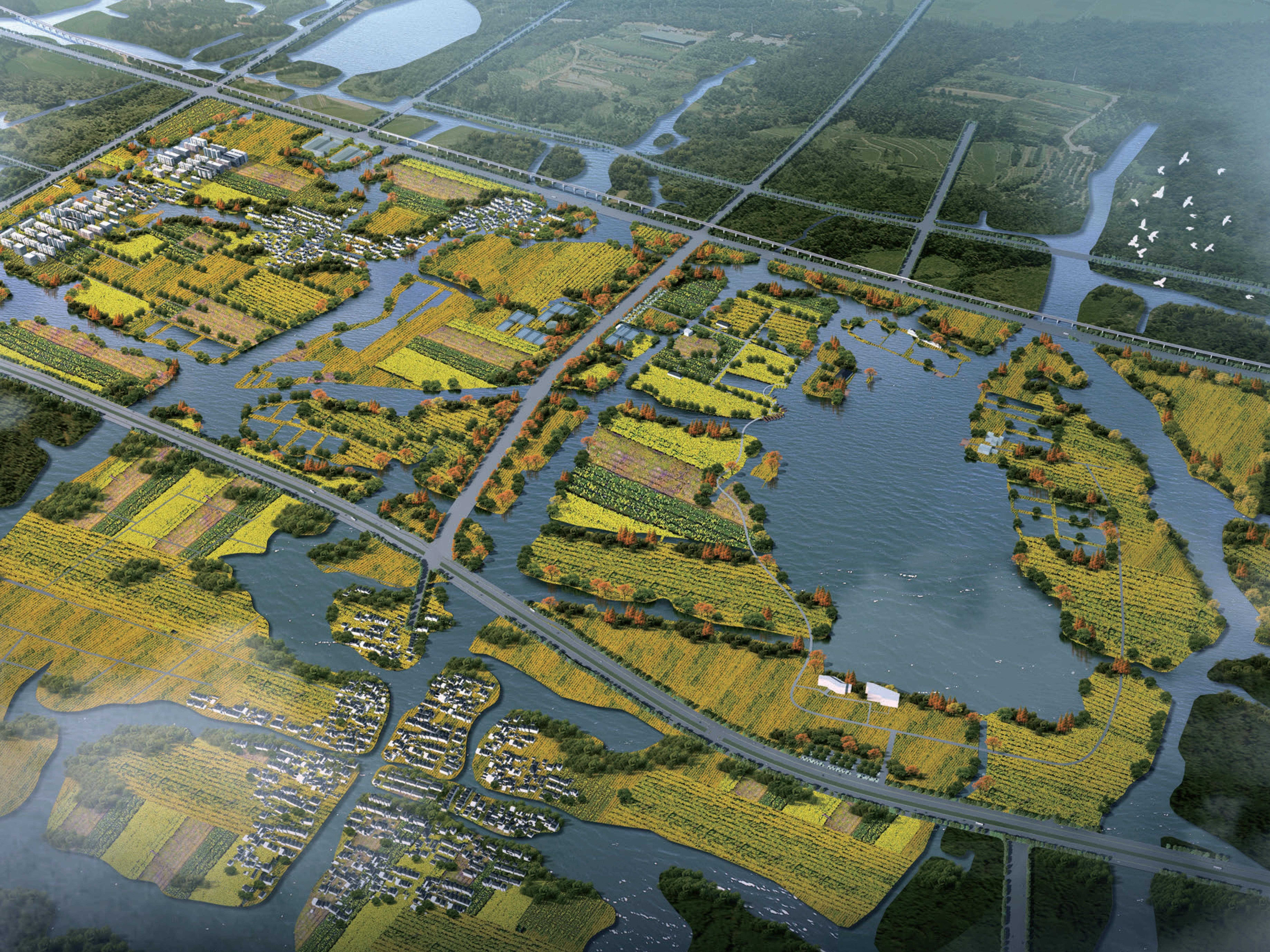 绍兴大板洋共富试验区