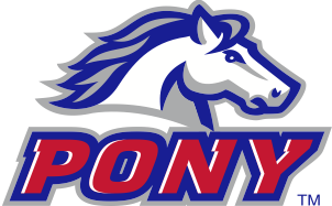 Pony