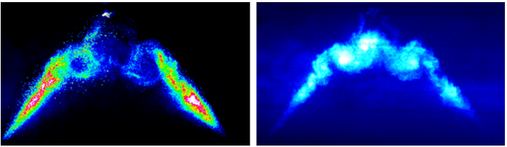 dualscope_two_images