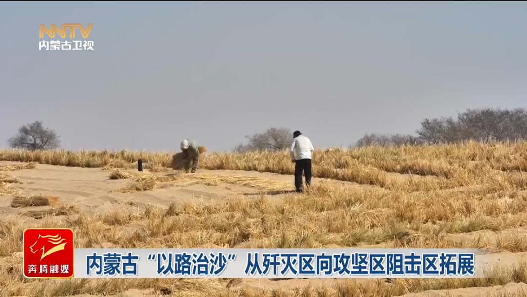 视频截图