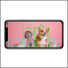 计算机视觉解决的基本问题、前沿进展以及在无人驾驶、人脸识别、医疗影像、监控安保等领域的应用。演示图像分类、目标检测、语义分割、实例分割、人体姿态关键点检测、人脸识别案例。