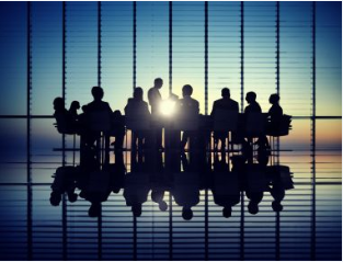 多元的股东背景