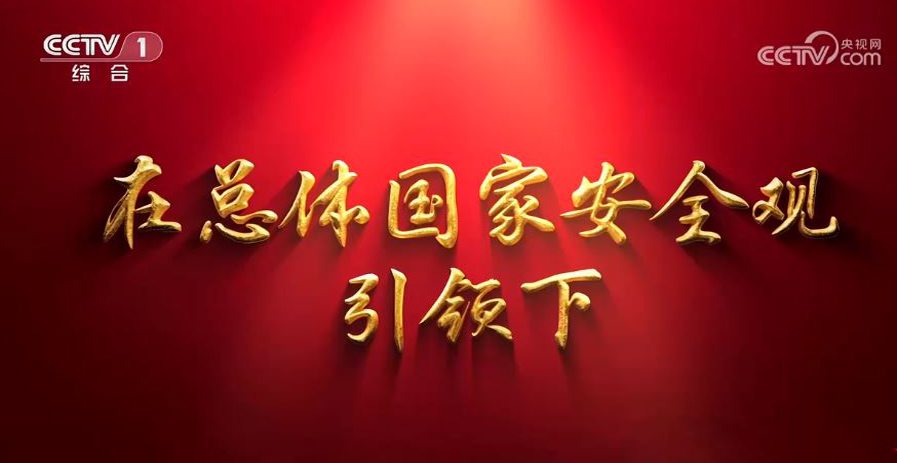 国家安全教育日