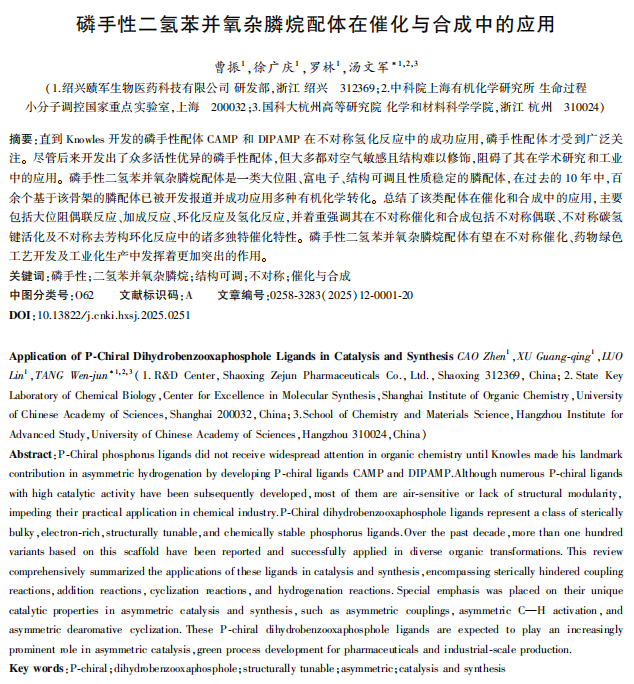 2025.0251 题目摘要截图.png