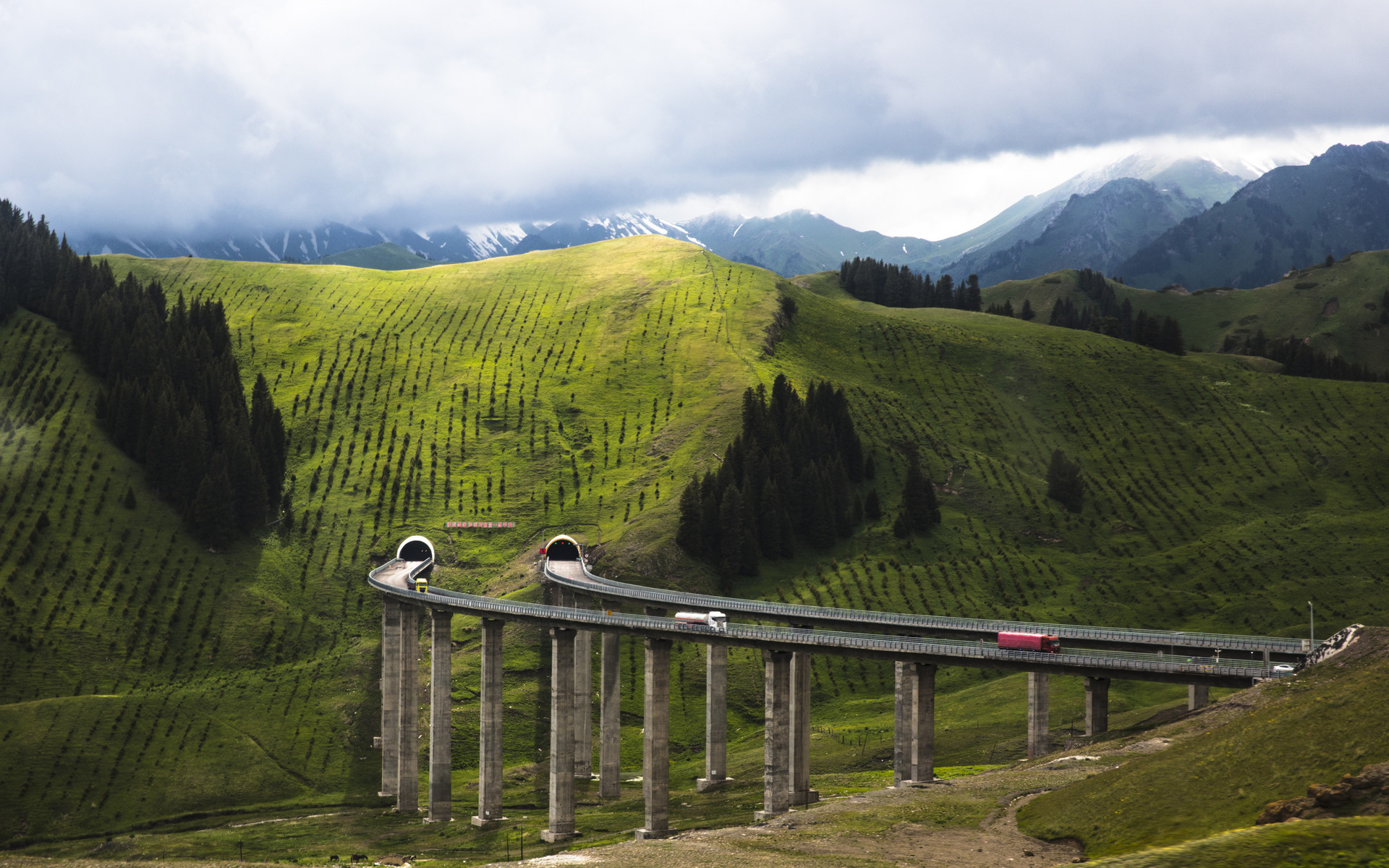 摄图网_501368399_banner