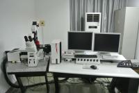 激光共聚焦-2