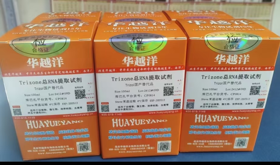 微信图片_20241221162224