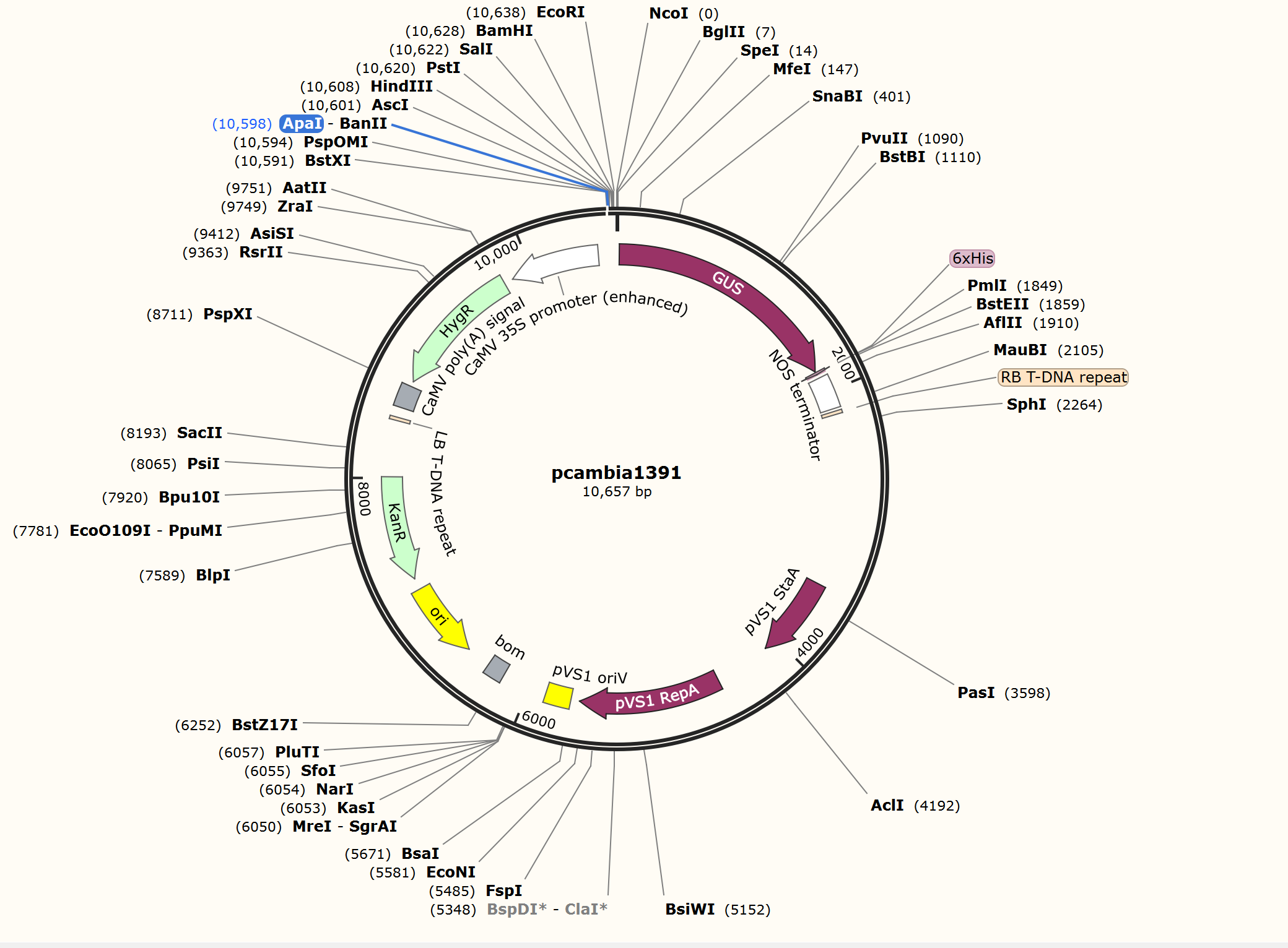 微信图片_20250226220533