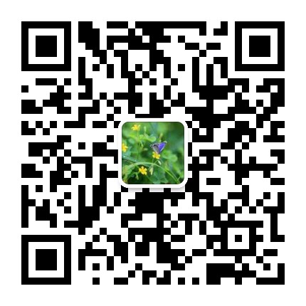 微信二维码