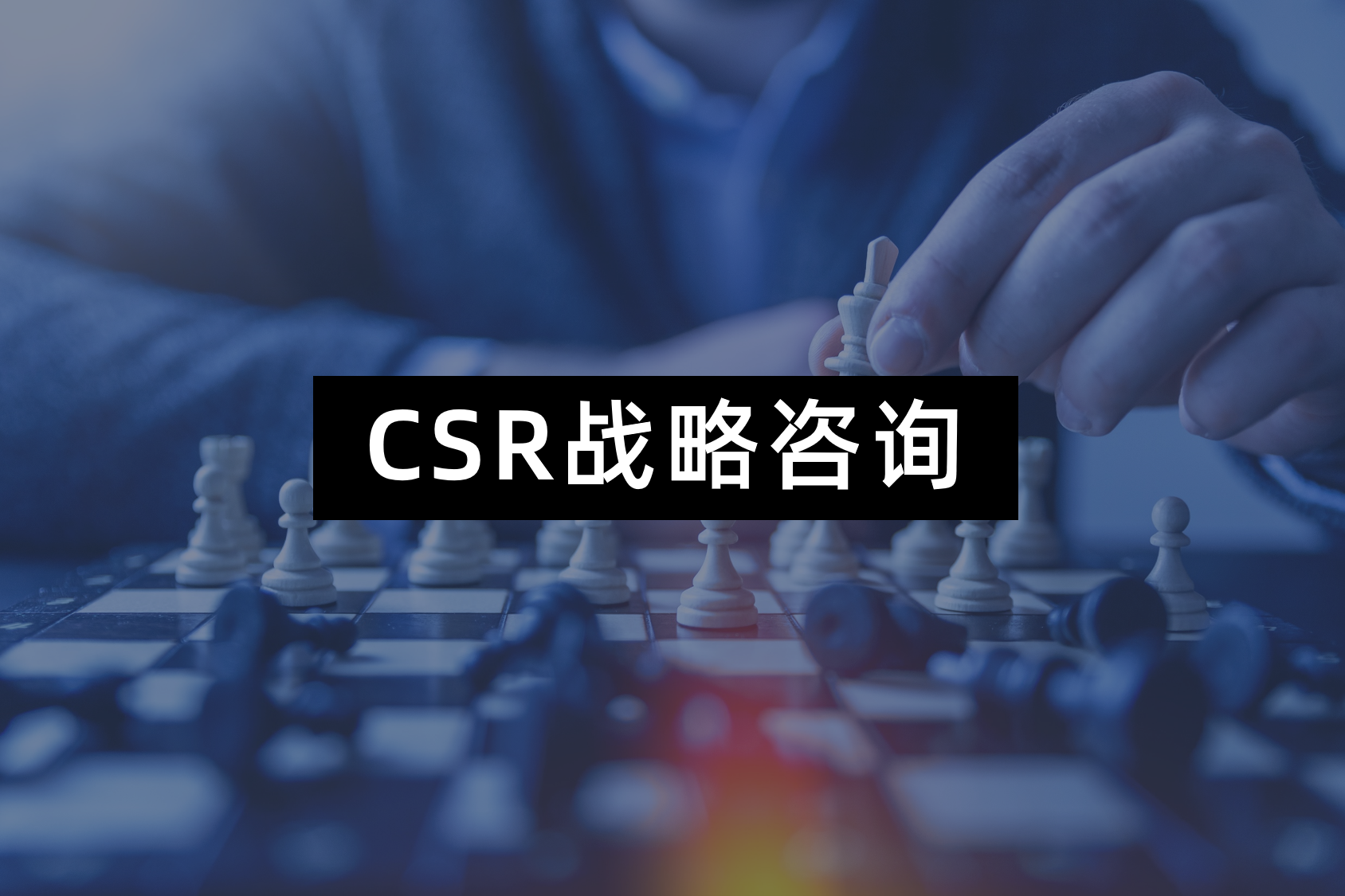 CSR战略咨询