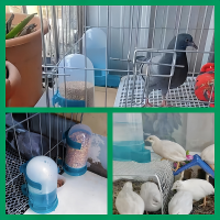 喂食器-10