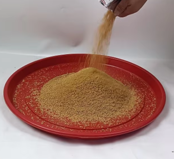 红色圆形托盘-9