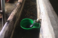 绿色塑料水碗-3