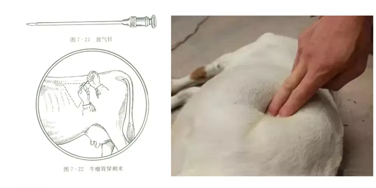排气针-5