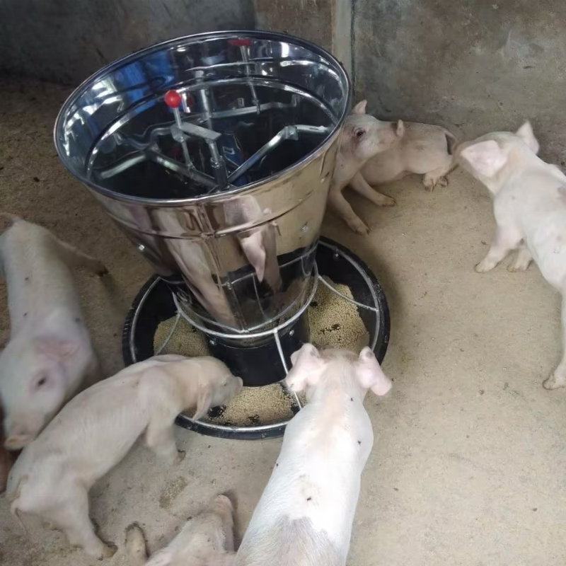不锈钢自动喂食器-11
