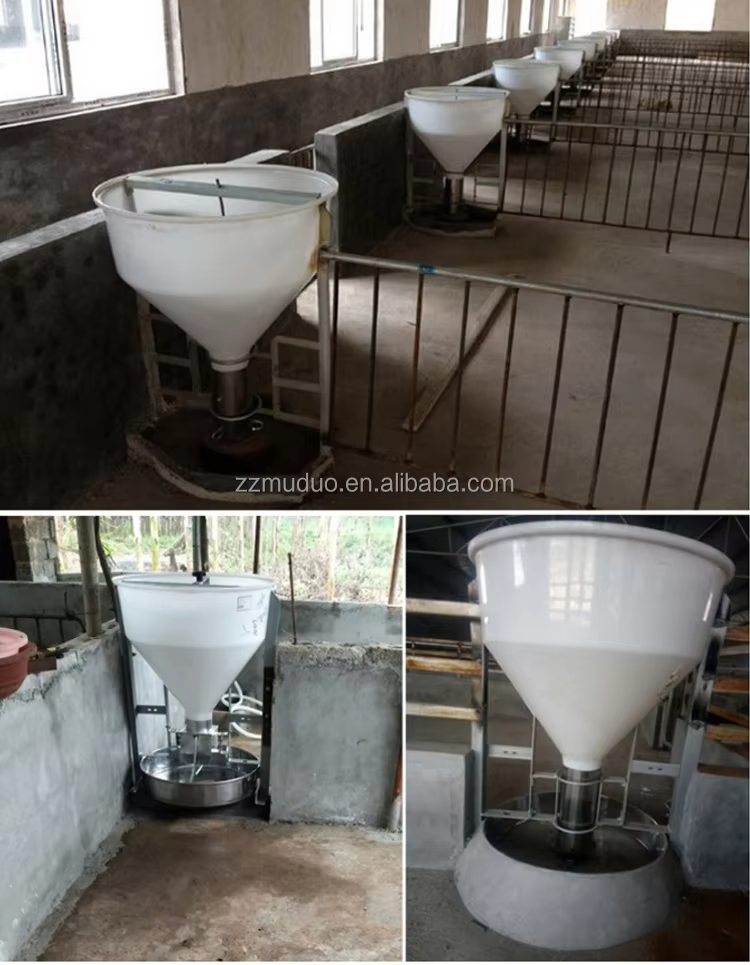 自动喂食器-3