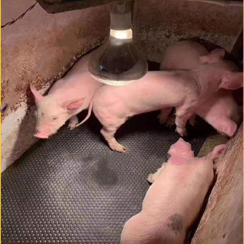 保温垫-3