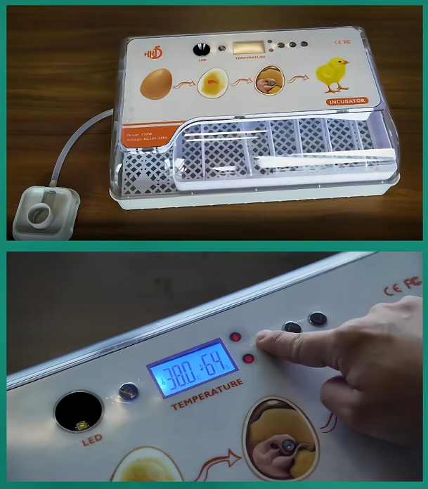 20-孵化器-4