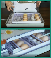 20-孵化器-5