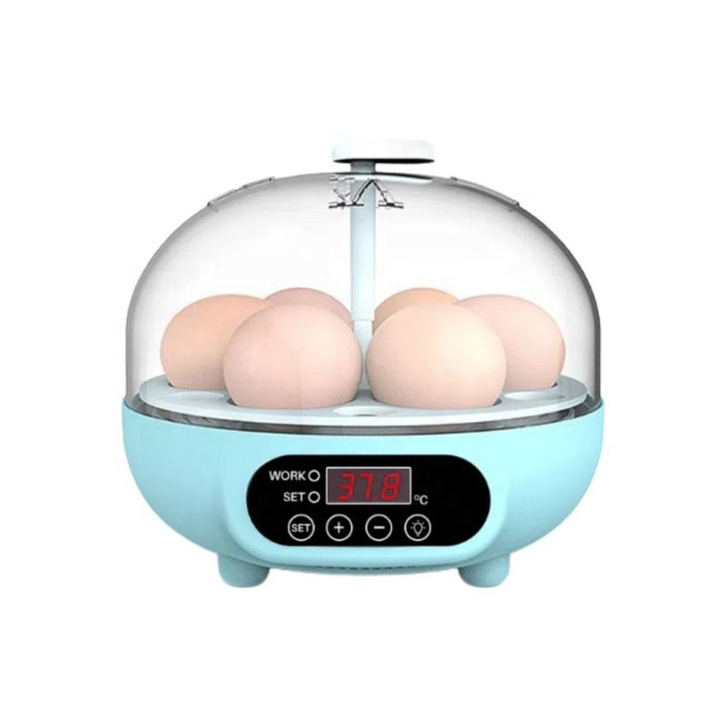 小蓝孵化机-1