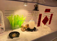 鸡用保温箱-2