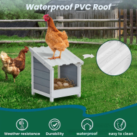 白色鸡窝-3