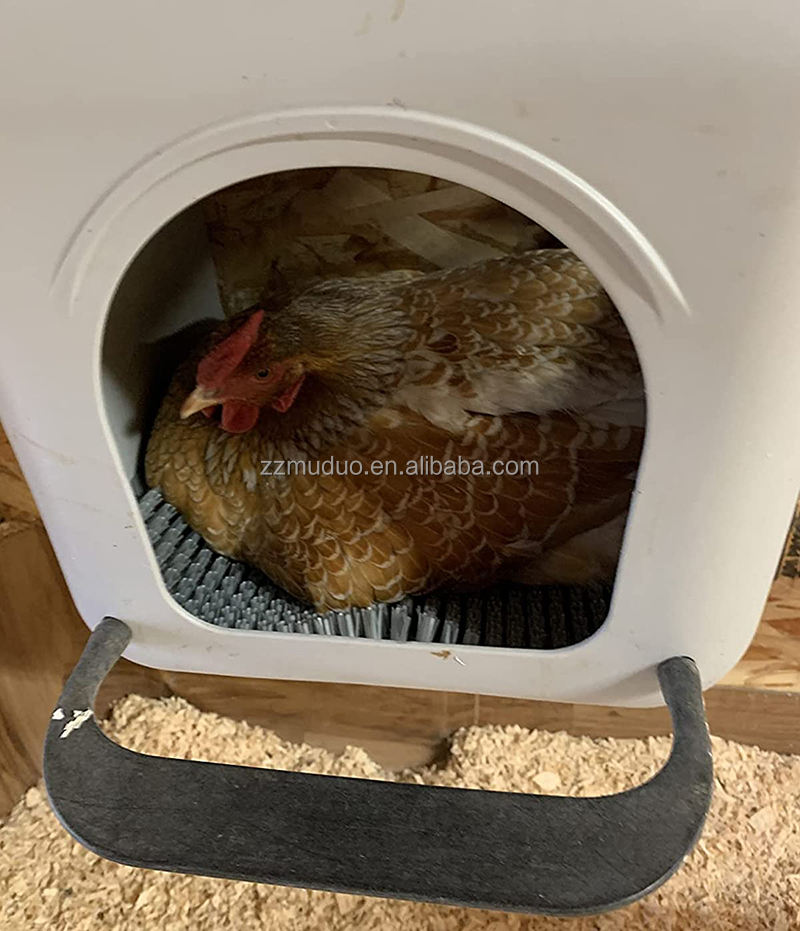塑料母鸡笼-5