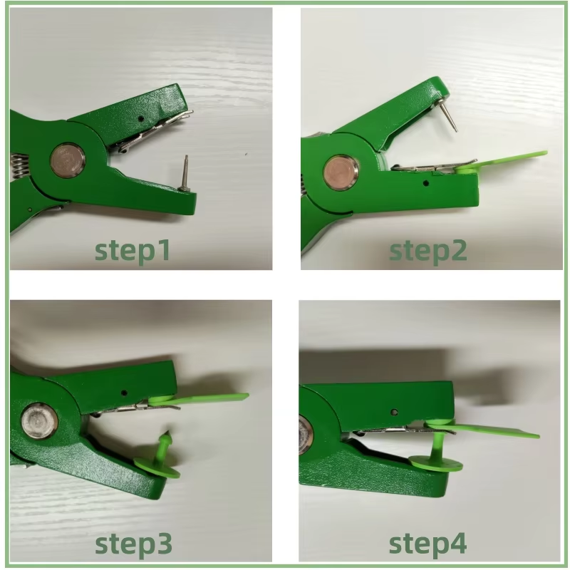 FourstepinstallationguideofTPUeartagusinggreeneartagpliers,step1tostep4