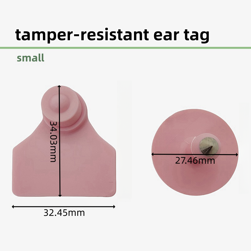 Smallsizepinktamper-resistantTPUeartagdimensiondiagram,34.03mmheight32.45mmwidth