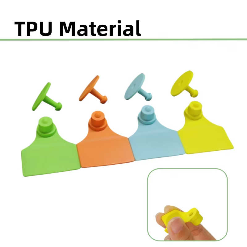 TPUmaterialflexibleeartagsin4colorsgreenorangeblueyellow,showingbendablequality