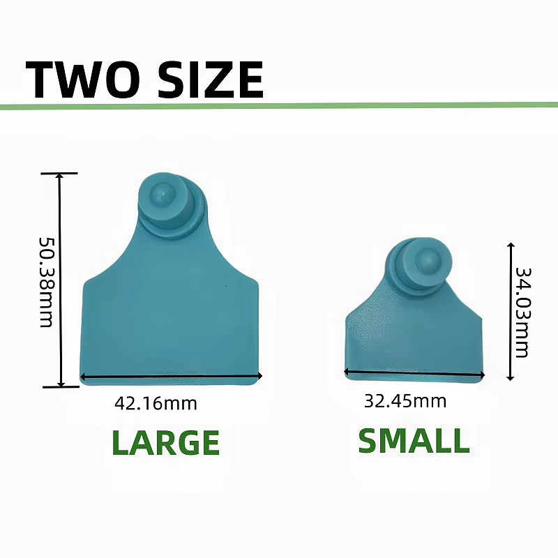 TwosizecomparisonchartofTPUlivestockeartags,large50.38mmandsmall34.03mmdimensions