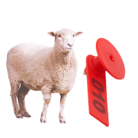 WhitesheepwithrednumberedTPUlivestockeartagforfarmanimalidentification