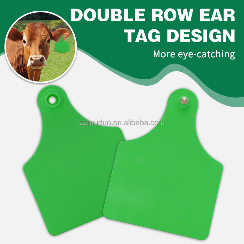 Double-rowgreenlivestockeartagdesignshownonacow