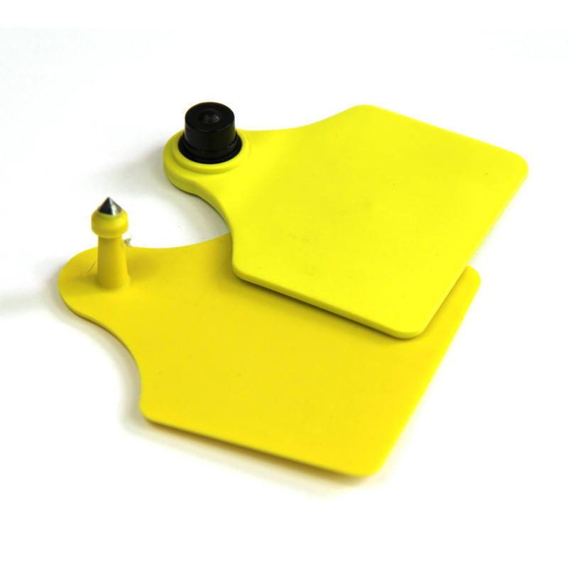 PairofyellowcoweartagsTPUlivestockidentificationearmark