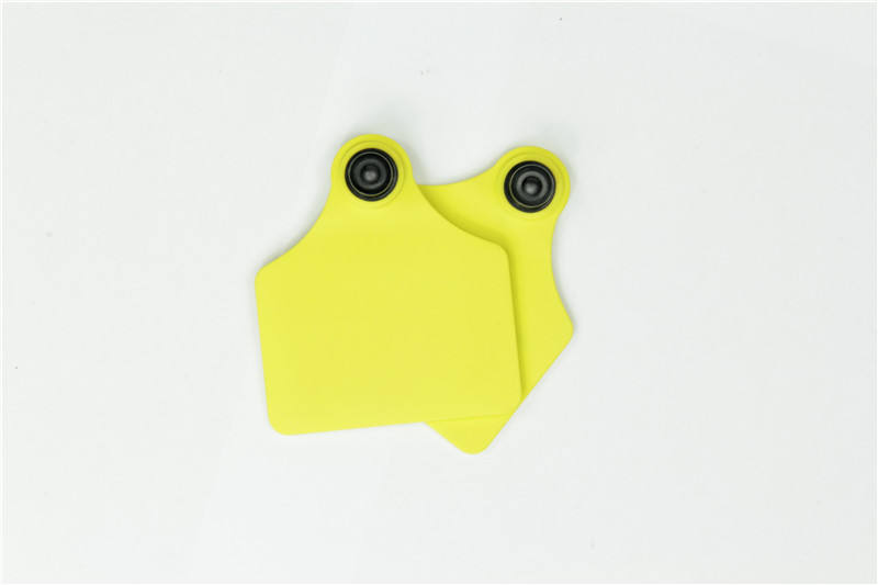 Topviewyellowblanklargelivestockeartagsforcowidentification